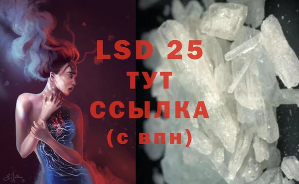 ГАЛЛЮЦИНОГЕННЫЕ ГРИБЫ Грязи