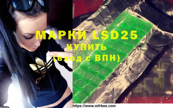 ГАЛЛЮЦИНОГЕННЫЕ ГРИБЫ Грязи