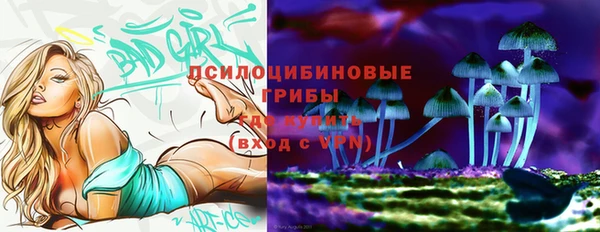 ГАЛЛЮЦИНОГЕННЫЕ ГРИБЫ Грязи