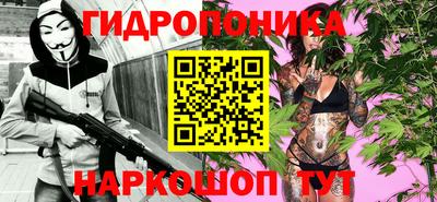 дурь Кингисепп