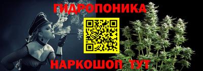 дурь Кингисепп
