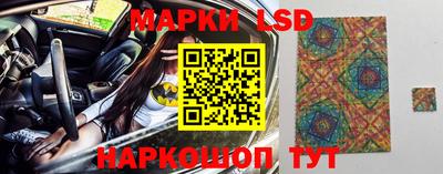 дурь Кингисепп