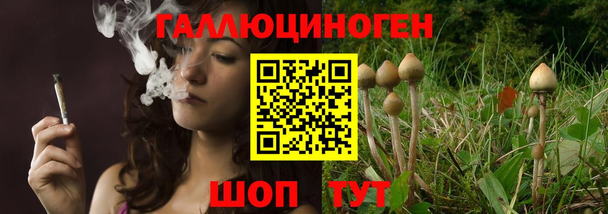 Псилоцибиновые грибы прущие грибы Костомукша