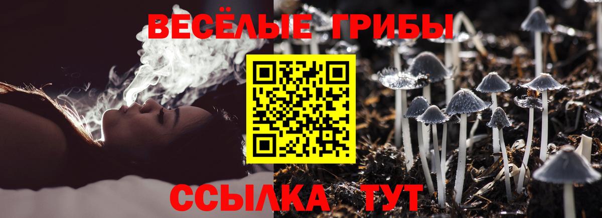 Костомукша  Псилоцибиновые грибы Psilocybe  Вход с VPN  Галлюциногенные грибы GOLDEN TEACHER 